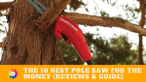 The 10 Best Pole Saw For The Money