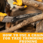 How To Use A Chainsaw For Tree Trimming And Pruning
