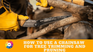 How To Use A Chainsaw For Tree Trimming And Pruning