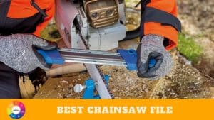 Best Chainsaw File